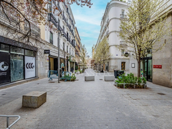Elegantísima vivienda en barrio Salamanca (CW26VT_V1002MLZ)